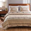 Ensemble de courtepointe réversible en coton standard Phoenix-478943197-478943171