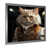 Silver Single Picture Framed