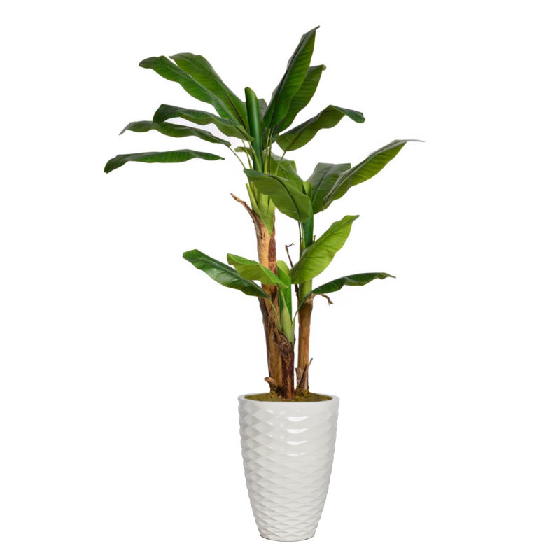 70.9'' Faux Banana Leaf Tree in Planter