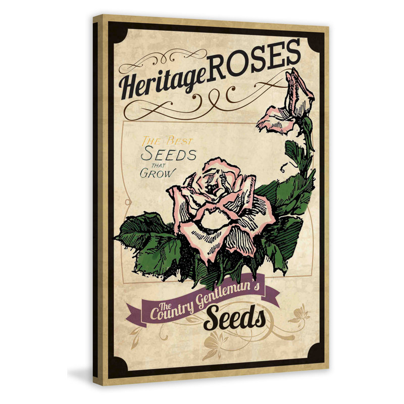 Flower Packet Roses - Wrapped Canvas Print, 46 cm H x 30 cm W