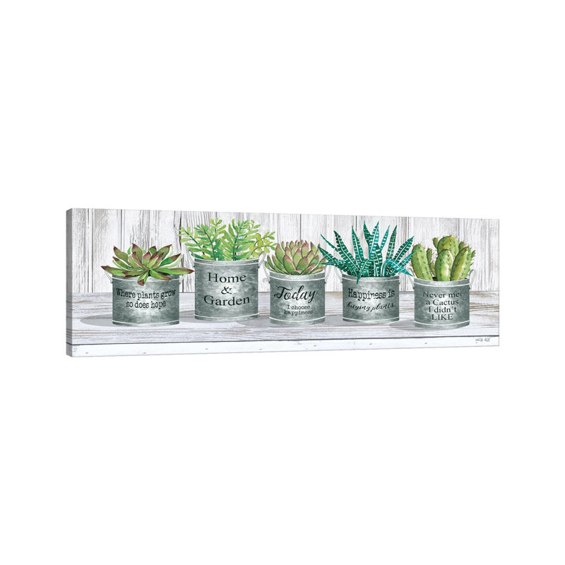 Galvanized Pot Succulents II by Cindy Jacobs - Panoramic Painting on Canvas, 30.48 cm H x 91.44 cm W x 1.91 cm D