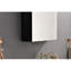 Armoire de rangement 18 po x 36 po pour miroir de salle de bain