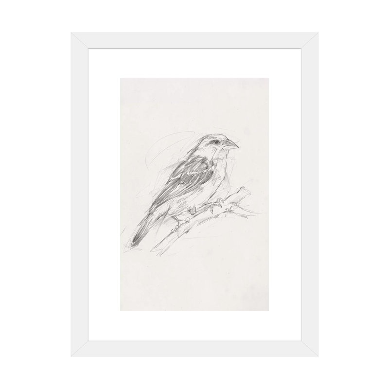 Reproduction d’art, "Avian Study II" par Ethan Harper, Blanc, H 24 po x l 16 po x P 1 po, Papier encadré blanc