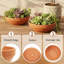 Pot Planter
