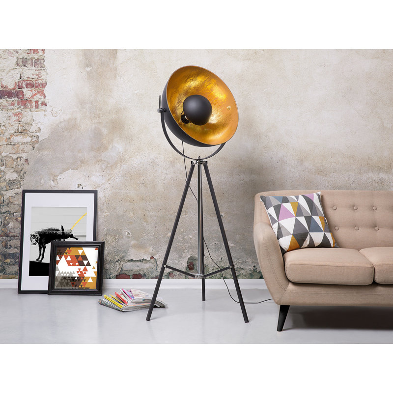 Caringorm 165cm Tripod Floor Lamp, Black