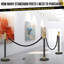Iron, Steel Stanchion-1920455617