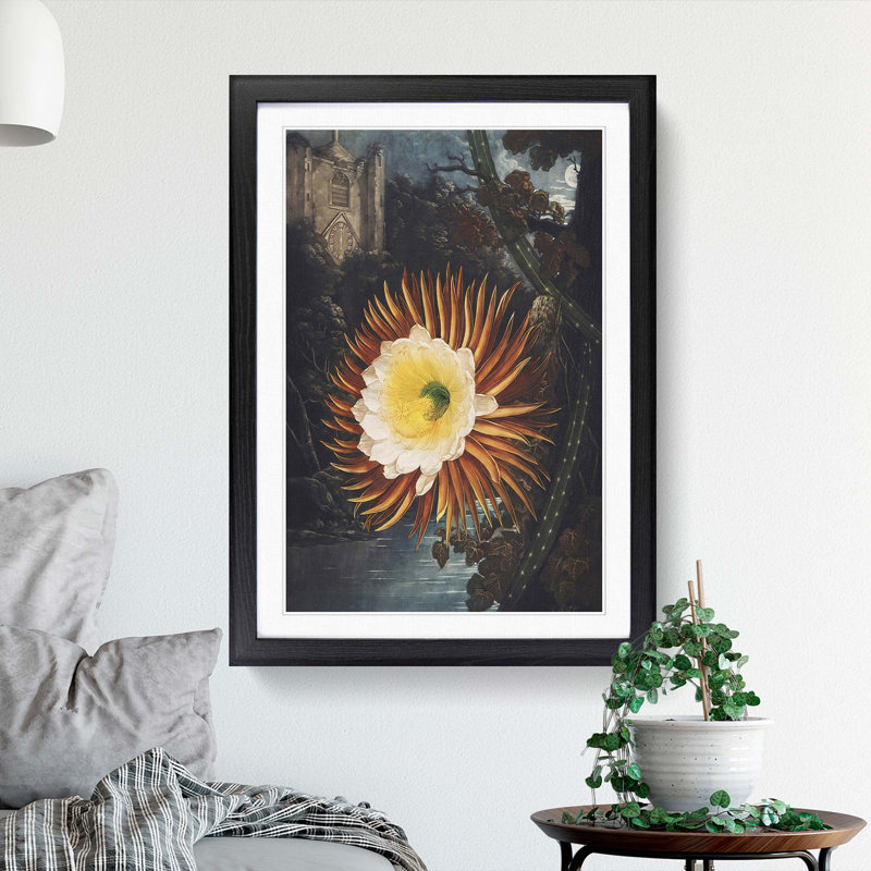 Blooming Cacti by R.J. Thornton - Picture Frame Painting Print, Black Framed, 65cm H x 48cm W x 2cm D