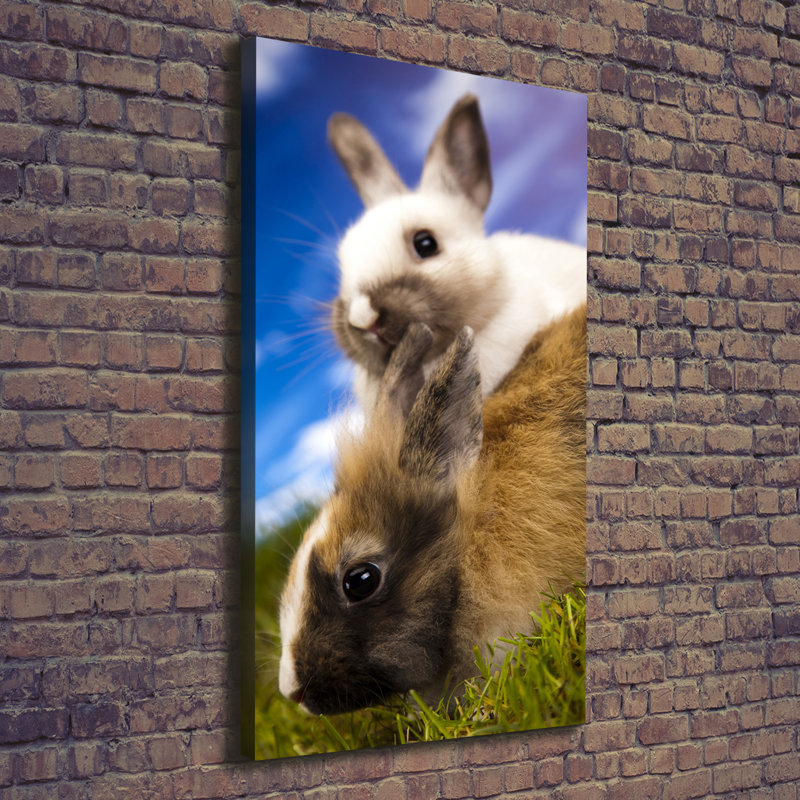Two Rabbits - Wrapped Canvas Print