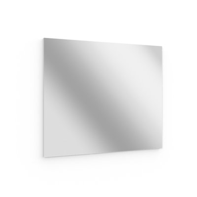 Neponset Glass Flat Wall Mirror