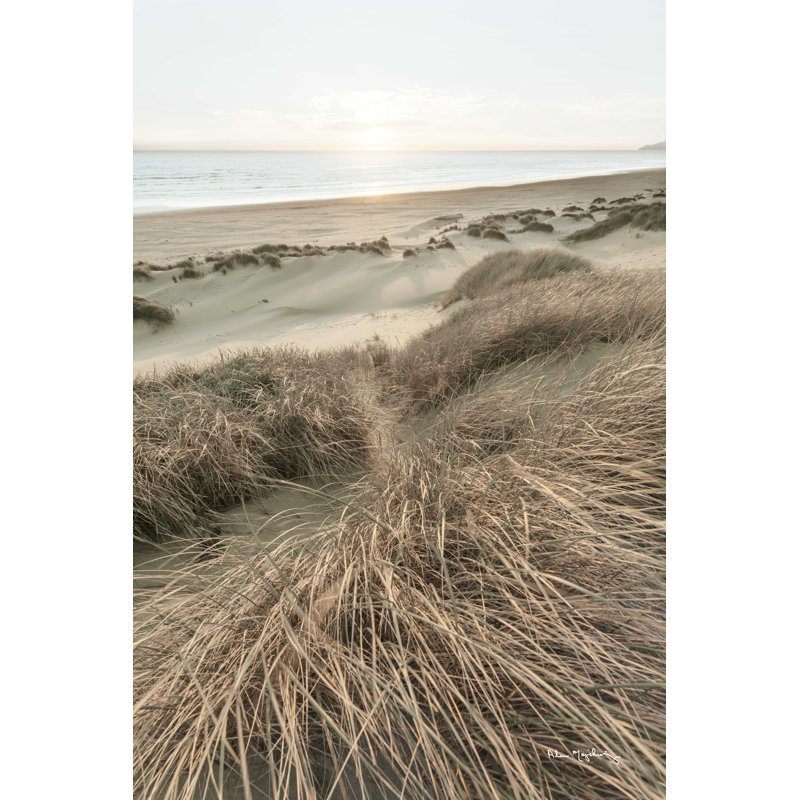 Herbes de plage, H 36 po x l 36 po x P 1,25 po
