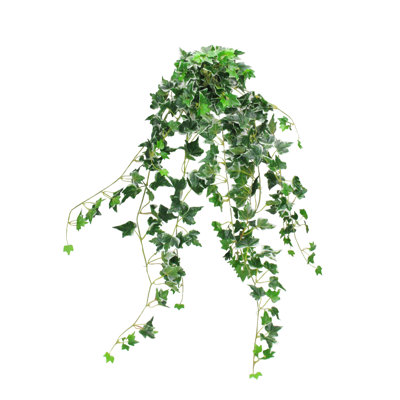 Buisson floral vert et blanc