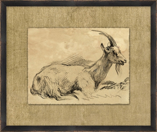 Charcoal Animal Collection 1 Print