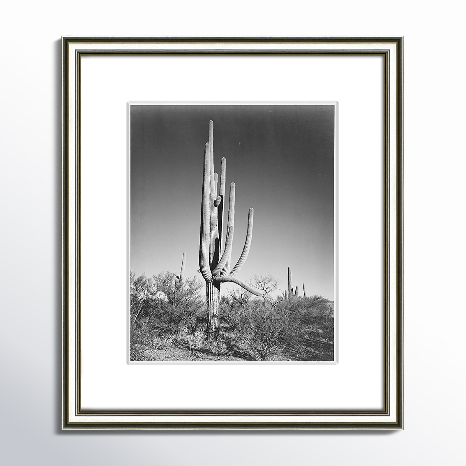 Saguaro National Monument Print by Ansel Adams, 16.25" H x 14.25" W x 0.88" D, Silver