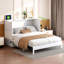 Lit escamotable double avec grands tiroirs-833891349-826529303