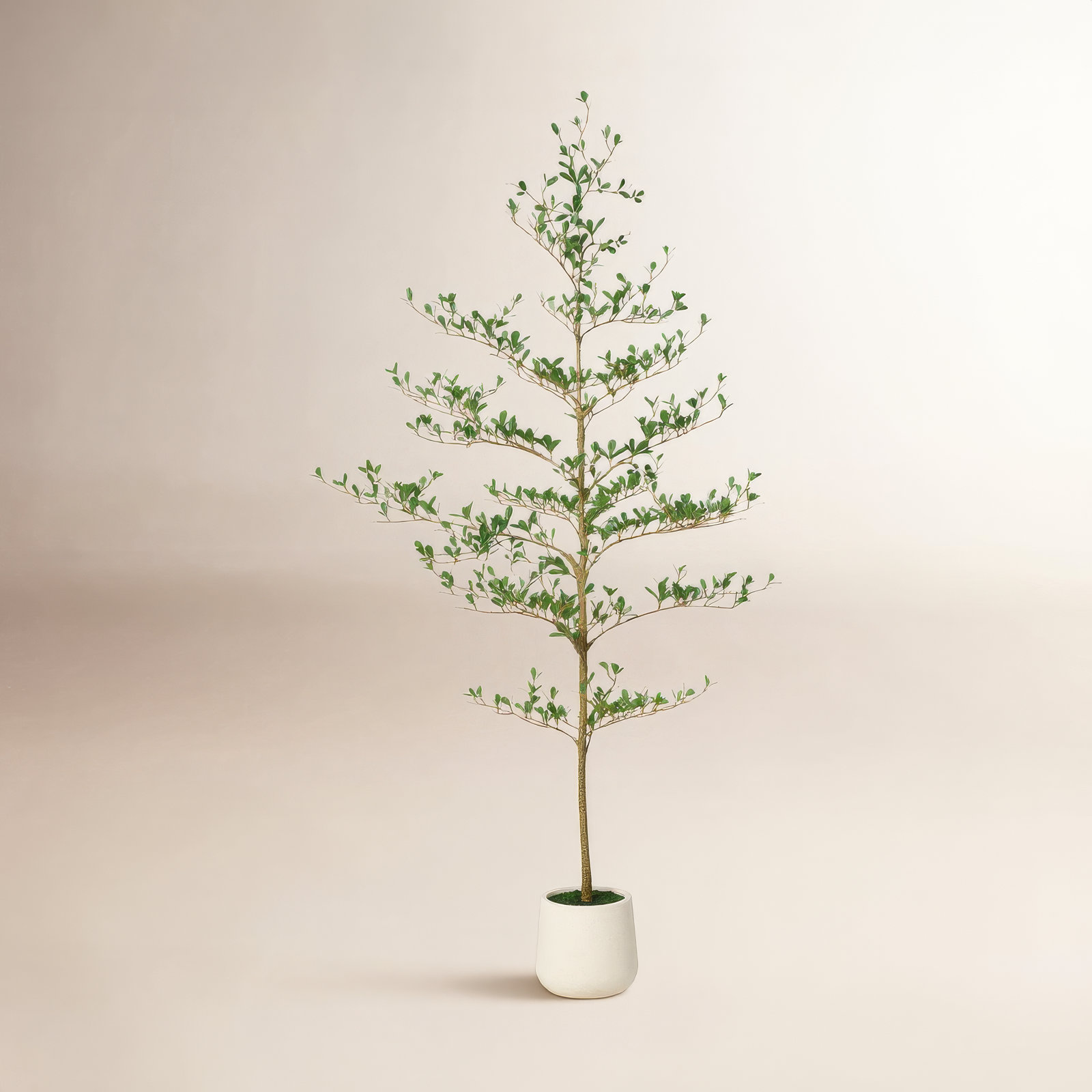 Adcock Faux Olive Tree, Fake Olive Tree with UV Protection for Indoor & Outdoor Decor, 72" H x 24" W x 24" D