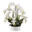White Orchids - Round White Ceramic Dish