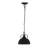 D10.4x11.4" Pendant Light With Ceiling Mount And Chain