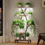 Plant Stand - Set of 8