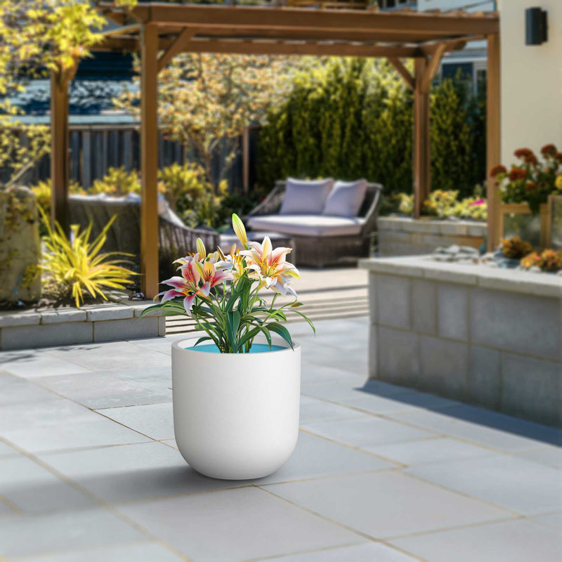 Grand pot à fleurs rond en béton avec trous de drainage (intérieur amélioré), Blanc vif (intérieur amélioré)