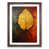 Walnut Framed selected