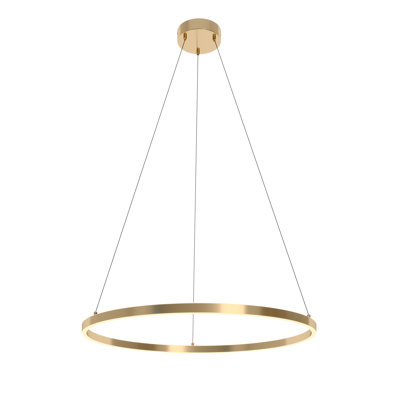 Luminaire suspendu 1 lumière DEL avec détails