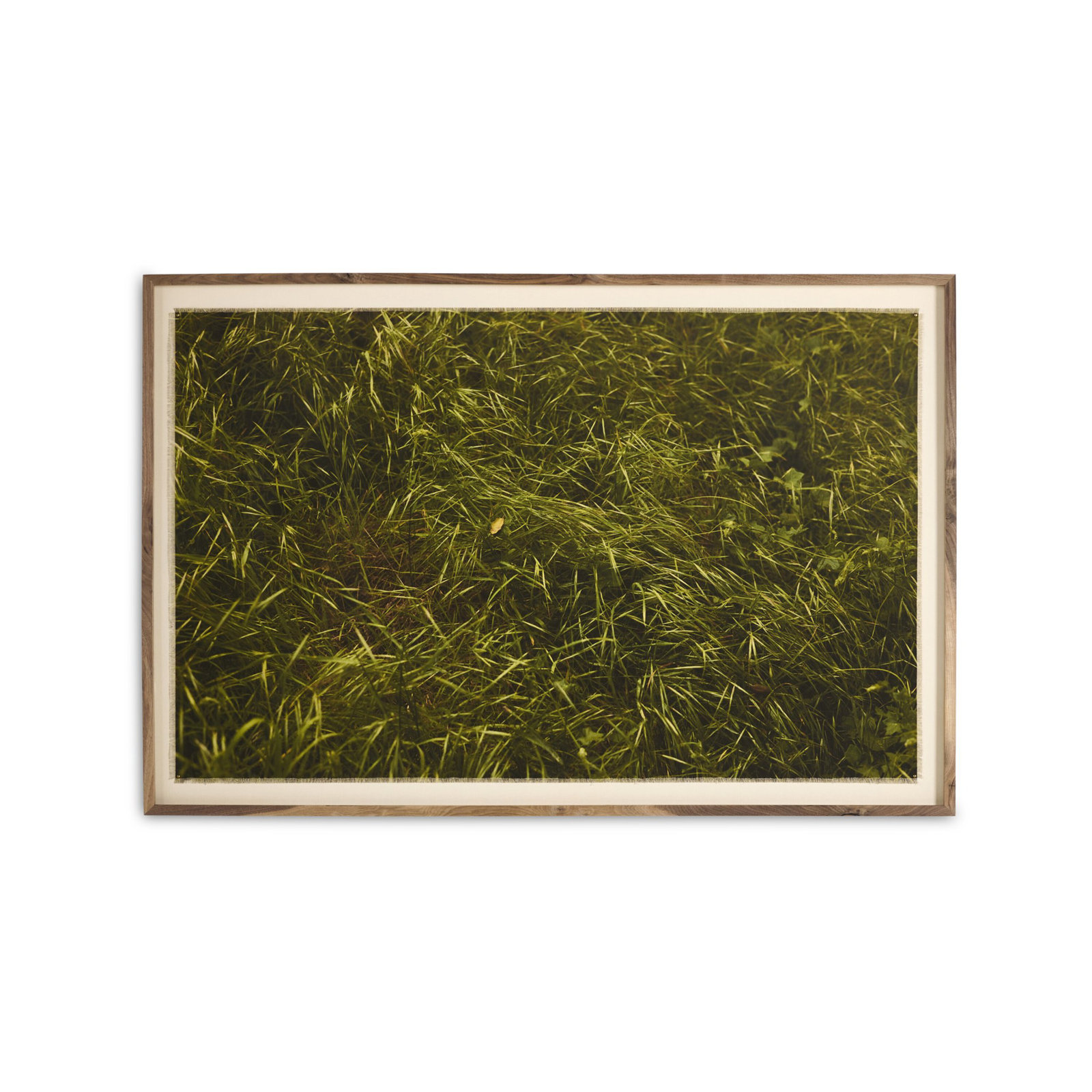Verdants by Shade Degges, 30" H x 40" W