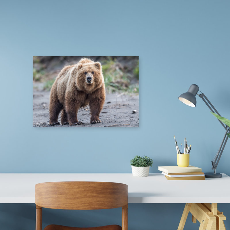 Majestic Grizzly Bear Contemporary Wall Art Print by Jeffrey C. Sink - 1 Piece Wrapped Canvas Wall Art, 30.48cm H x 45.72cm W