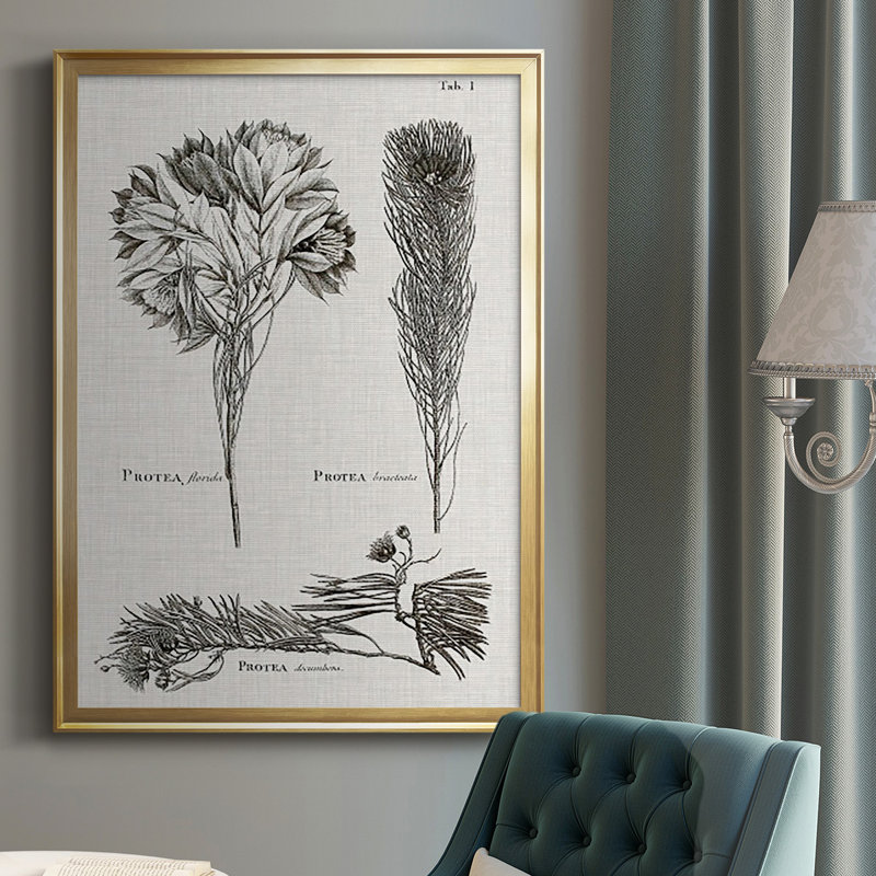 Protea on Linen I noir et blanc - impression d'un seul cadre photo, Or, H 42,5 po x l 30,5 po x P 1 po