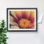 Dramatic Flower - Single Picture Frame Print-132674759-132677581