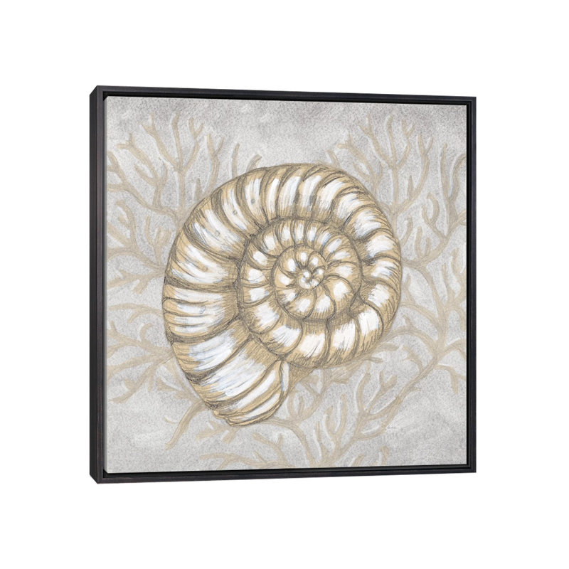 Dessin «Nautical Spiral Shell» - reproduction d'art murale - toile encadrée, 18" x 18", Framed Canvas, Distressed Black