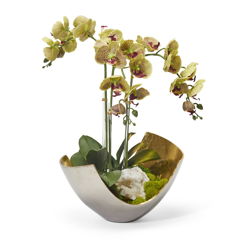 Orchids Floral Arrangement in Vase