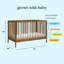Birdie 3 in 1 Convertible Crib-94331077