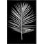 Majesty Palm 2 Print-1925123422-1925123417