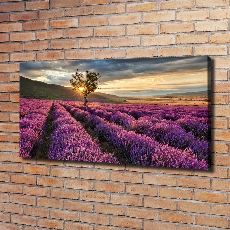 Lavender Field - Wrapped Canvas Print