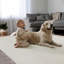 Schnabel Solid Colour Area Rug-144746970