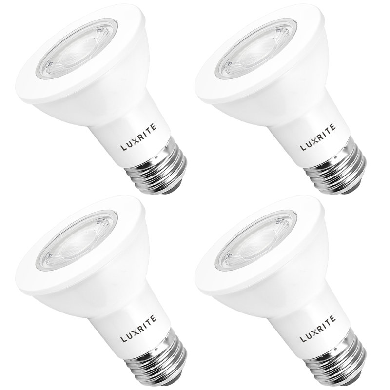 6.5 Watt (50 Watt Equivalent), PAR20 LED, Dimmable Light Bulb, E26/Medium (Standard) Base, 5000K