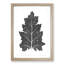 Illustration of a Leaf by Owen Jones - Framed Print-55769008-55769009