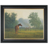 Fillies