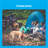 Premier Pet Wireless Fence