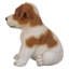 Statue chiot russel terrier jack assis
