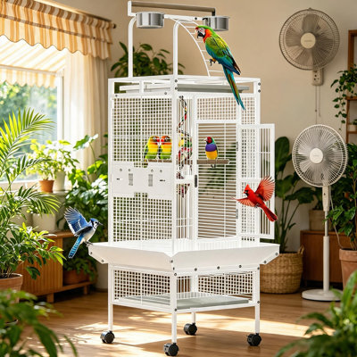 Bird Cage