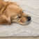 Tapis texturé Marrisha Luxury