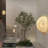 3d Moon Wall Light Lunar Wall Sconce