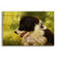 «Border Collie Garden» par John Silver-1456637451