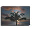 «Palm Tree Sunset II» par Dennis Frates-969852026