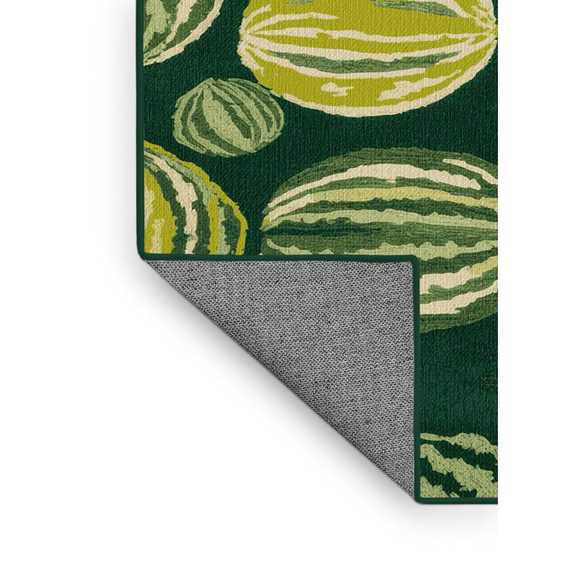  Tapis lavable Winter Melon, Tapis de couloir 2 pi x 4 pi