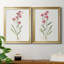 Delicate Pink I - ensemble de 2 reproductions d'art sur toile encadrées-61455385-61455388