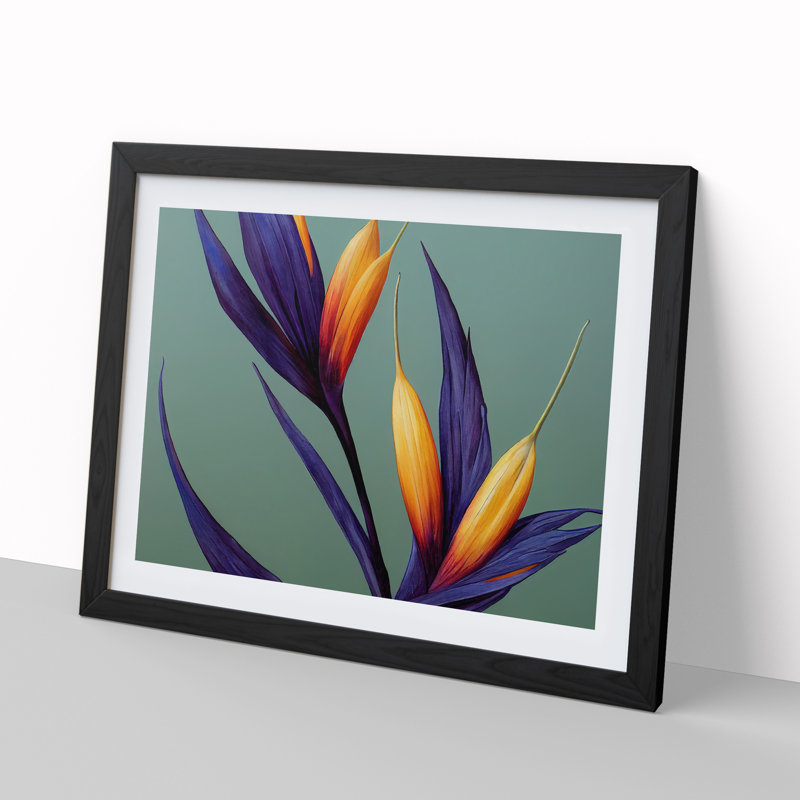 The Bird of Paradise Flower Vol.5 - Framed Print, 34cm H x 46cm W x 2cm D, Black