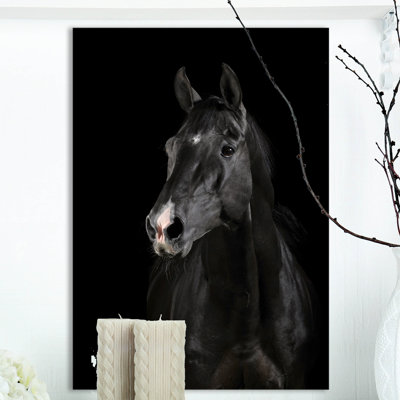 «Black Horse in Darkness», reproduction de photo sur toile tendue