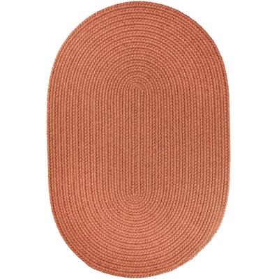Smyth Hand Braided Synthetic Indoor Rug